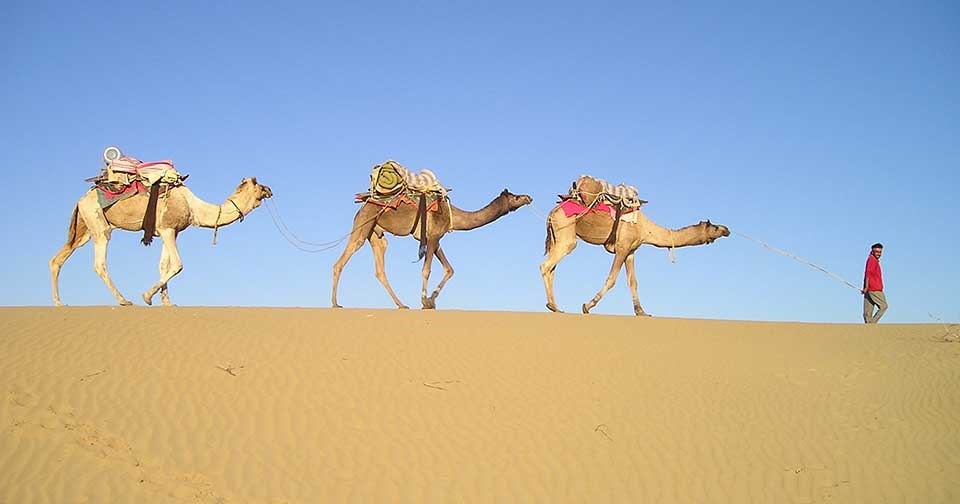 חוויה בדואית בספינת המדבר