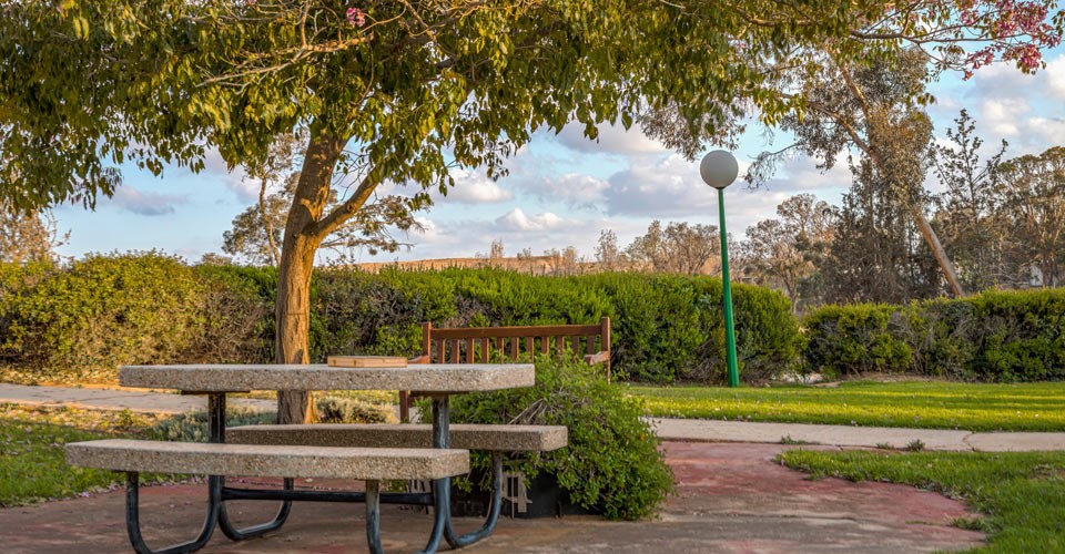 שטחים ציבוריים